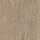 Maximus Click New England Oak - Sand