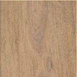 Maximus Silk Oak - Oat