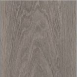 Maximus Silk Oak - Shade