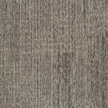 Alaska Carpet Tile - 22209