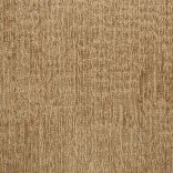 Alaska Carpet Tile - 22215