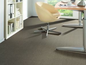 Fortesse SDE New carpet