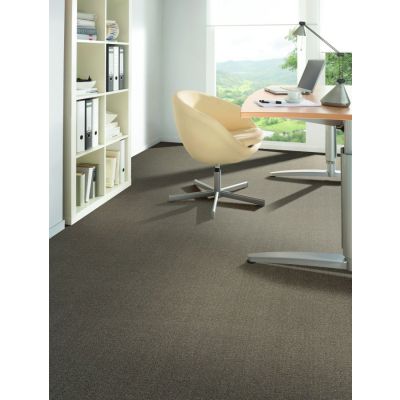 Fortesse SDE New carpet