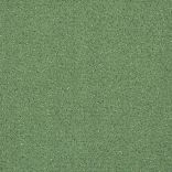 Fortesse SDE New carpet - 023