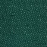 Fortesse SDE New carpet - 024