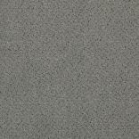 Fortesse SDE New carpet - 090