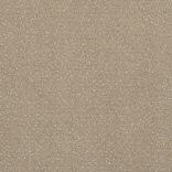 Fortesse SDE New carpet - 136