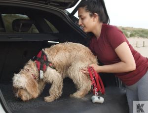 Car Protector Set Premium